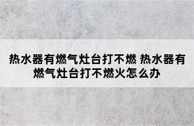 热水器有燃气灶台打不燃 热水器有燃气灶台打不燃火怎么办